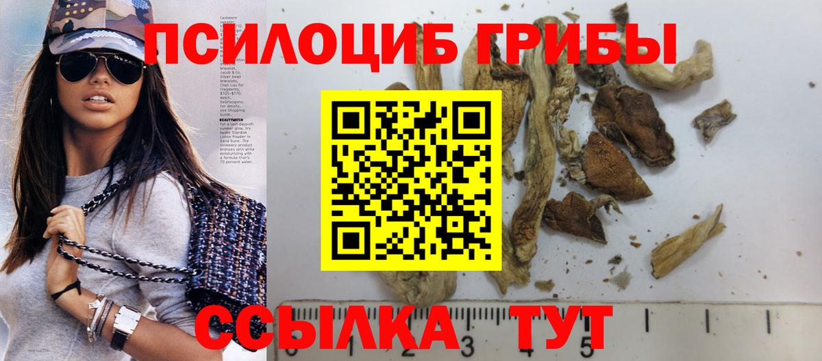 Псилоцибиновые грибы мицелий  Псилоцибиновые грибы Magic Shrooms  Вход с VPN  Александров 